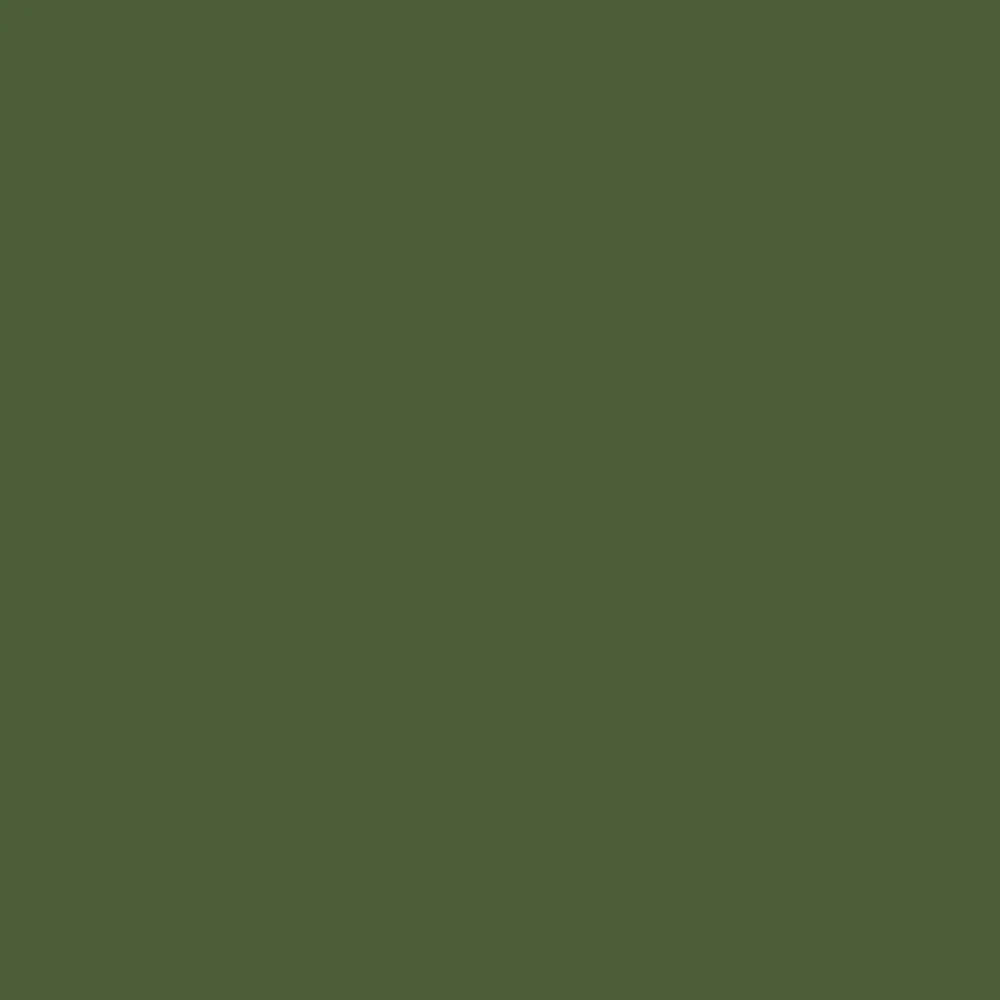 Giày Clog Unisex Crocs Classic - Dark Algae