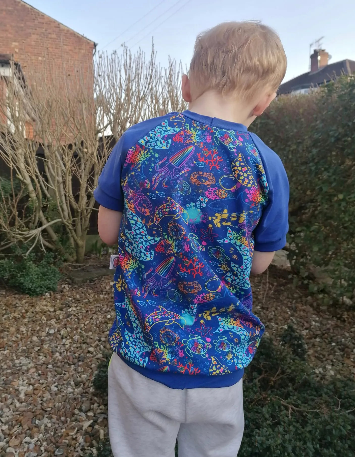 Kids Raglan Tees