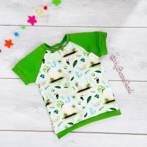 Kids Raglan Tees