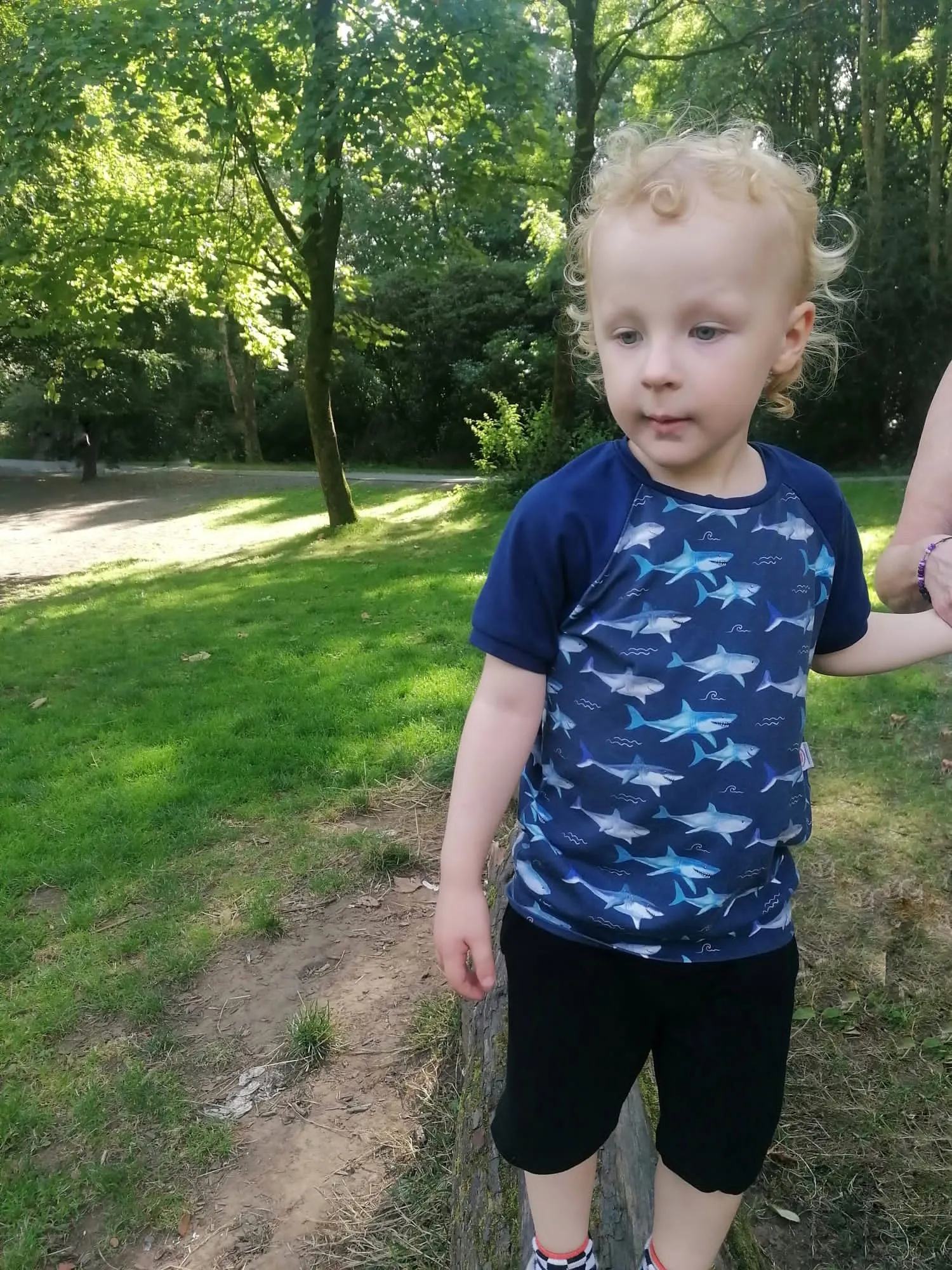 Kids Raglan Tees