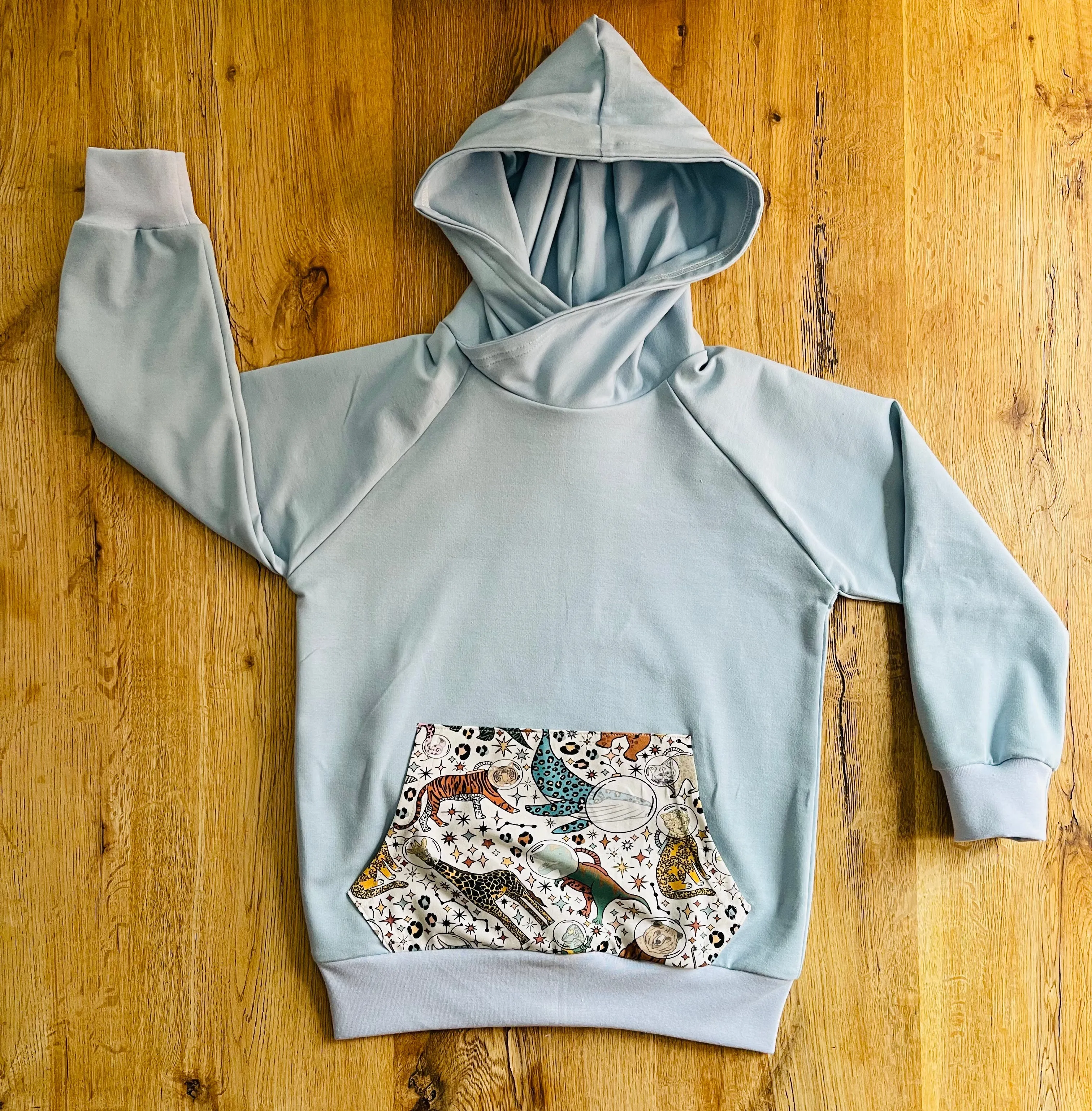Space Animals Hoodie - 6/12 Months
